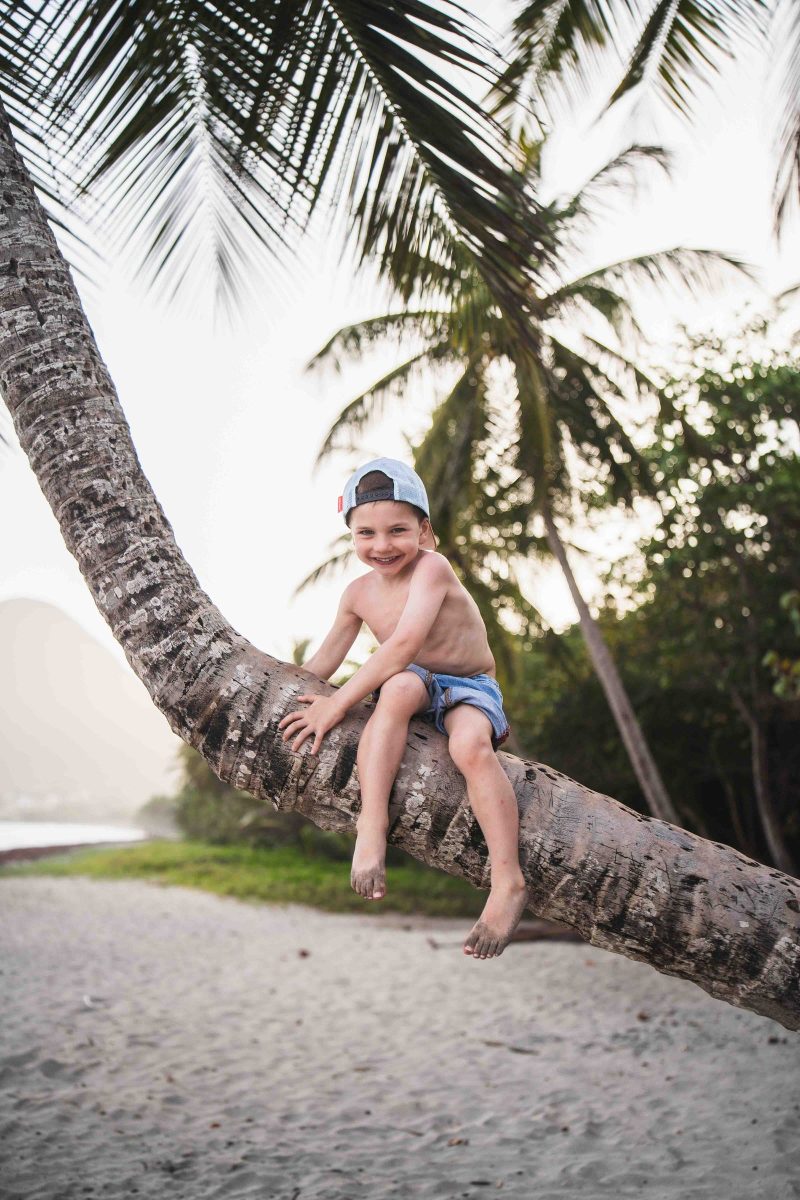 Enfant assis sur un cocotier penché